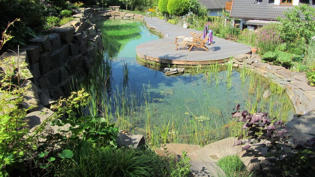 Schwimmteich fast geschenkt
